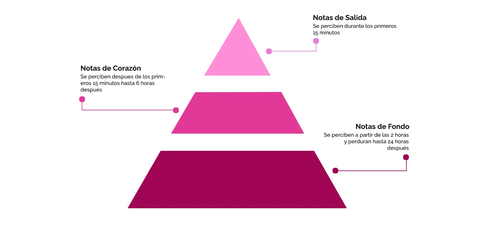 Pirámide Olfativa