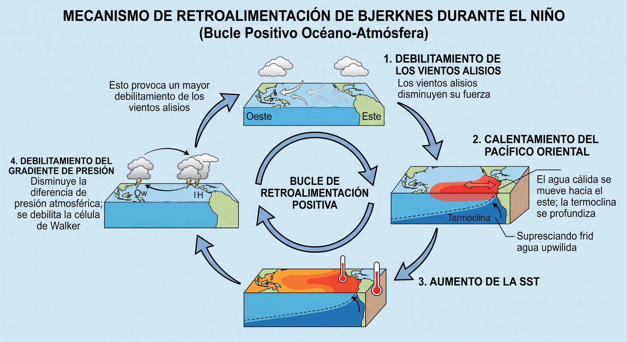 Mecanismo de retroalimentación de Bjerknes durante El Niño